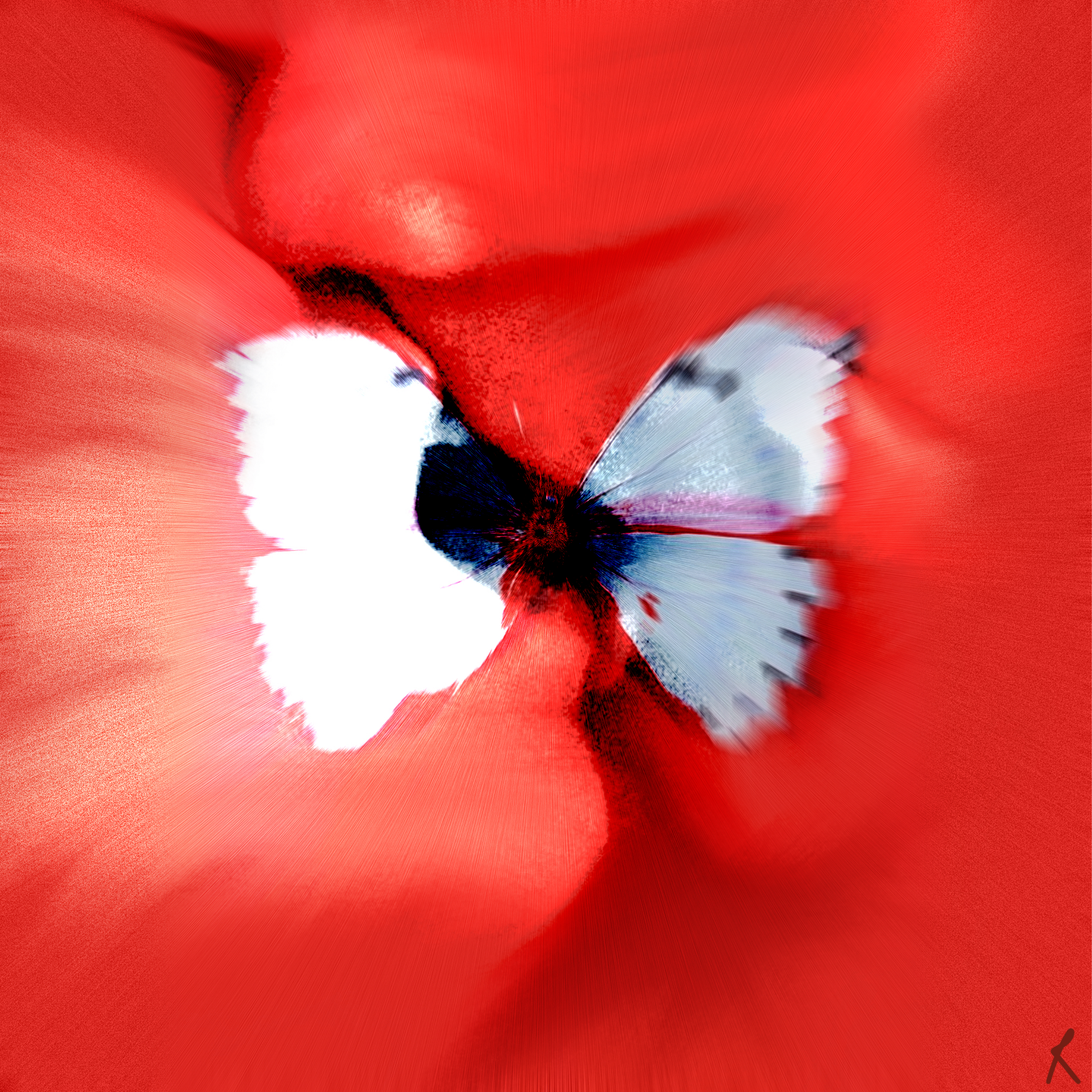 Butterfly Kiss graphic design artwork